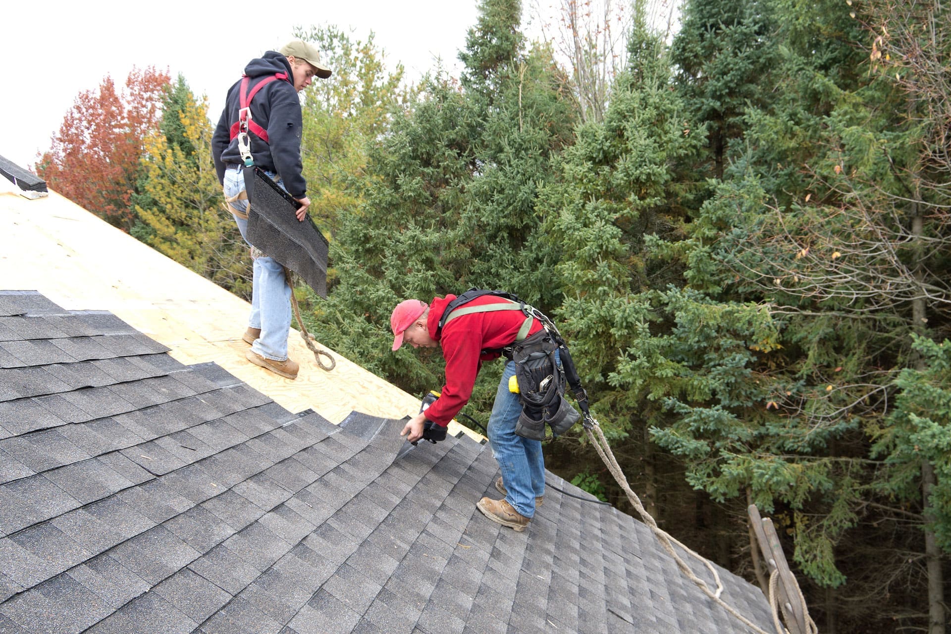 Harnessed-Roofers-background 2 Harnessed Roofing working